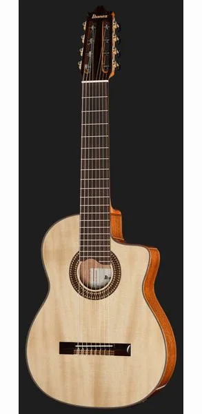Ibanez GA3008CE-NT detail 2