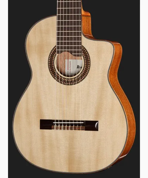 Ibanez GA3008CE-NT detail 4