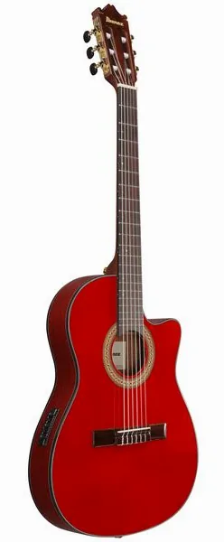 Ibanez GA35TCE-SRR detail 3
