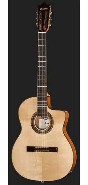 Ibanez GA360TCE-NT detail 2