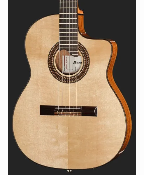 Ibanez GA360TCE-NT detail 4