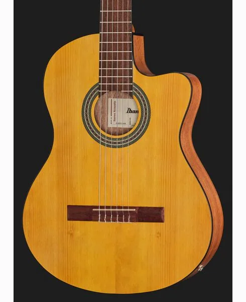 Ibanez GA3ECE-OAM detail 4