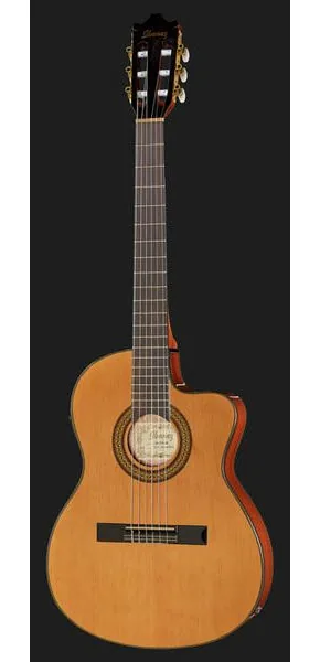 Ibanez GA5TCE-AM detail 2