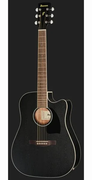 Ibanez PF16MWCE WBK detail 2