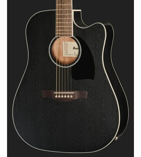 Ibanez PF16MWCE WBK detail 4