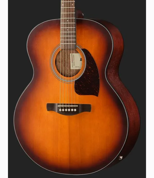 Ibanez PJ50E-OAH detail 4