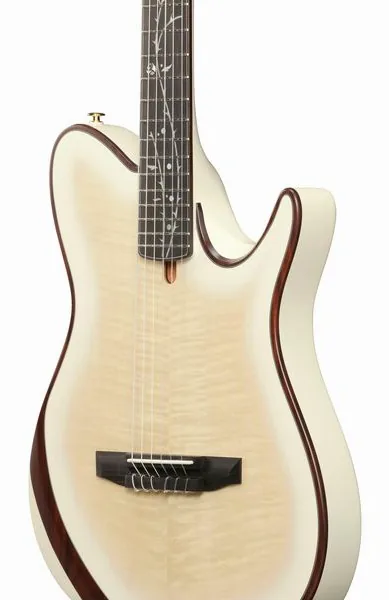 Ibanez Tim Henson TOD100FMN TMM detail 3