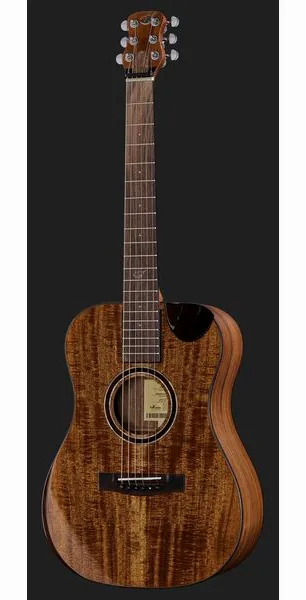 Journey Instruments OF882C Acacia Acoustic detail 2