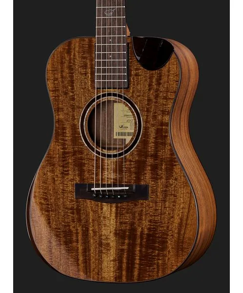Journey Instruments OF882C Acacia Acoustic detail 4