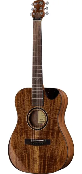 Journey Instruments OF882C Acacia Acoustic vooraanzicht