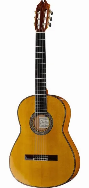 Juan Hernandez Flamenca Profesional SP vooraanzicht