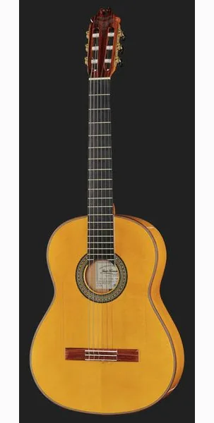 Juan Hernandez Luthier Flamenca SP detail 2