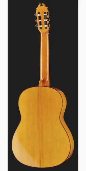 Juan Hernandez Luthier Flamenca SP detail 3