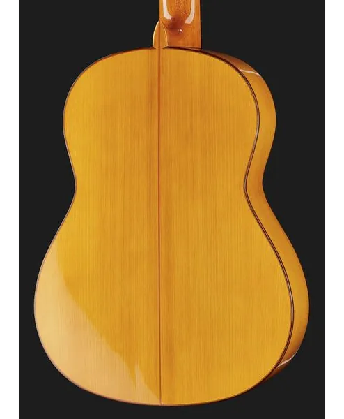 Juan Hernandez Luthier Flamenca SP detail 5