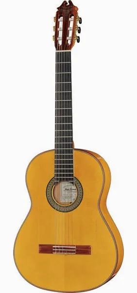 Juan Hernandez Luthier Flamenca SP vooraanzicht