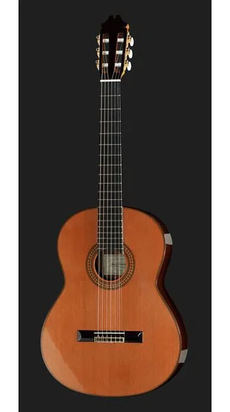 Juan Hernandez Profesor Cedar detail 2