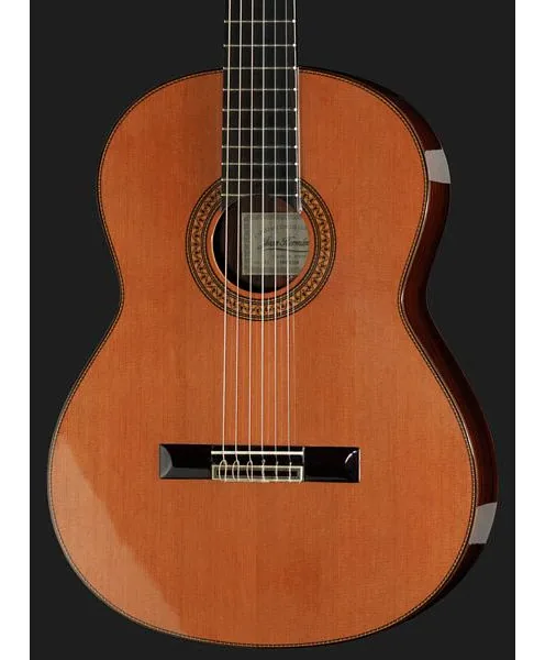 Juan Hernandez Profesor Cedar detail 4