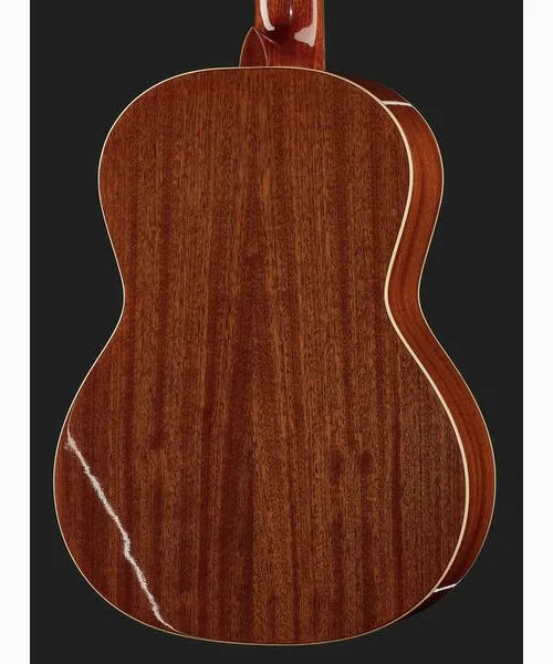 La Mancha Rubi S/63 detail 5