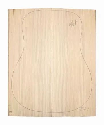 Lakewood D-Blackwood-12 Custom vooraanzicht