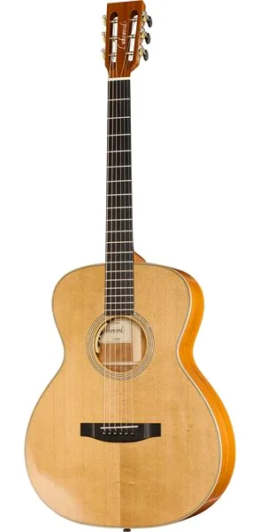 Lakewood M 41 Custom Chakte Viga vooraanzicht