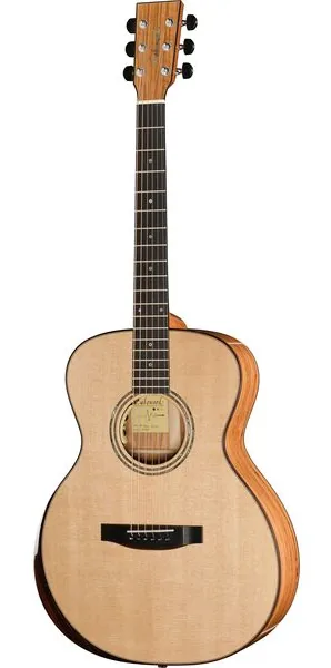 Lakewood M-Olive Custom vooraanzicht
