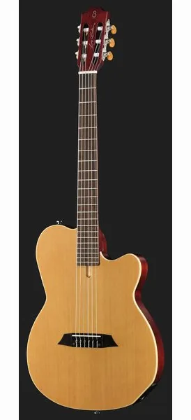 Larry Carlton G5N Natural detail 2