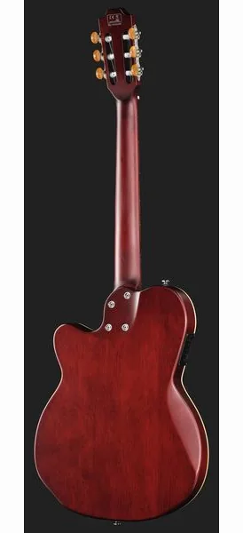 Larry Carlton G5N Natural detail 3
