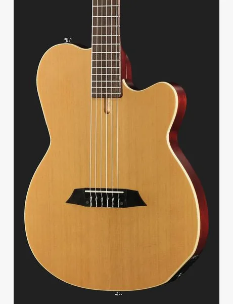 Larry Carlton G5N Natural detail 4