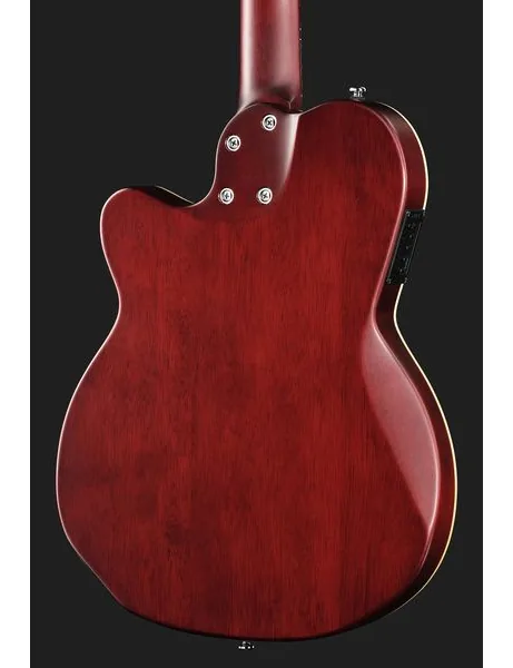 Larry Carlton G5N Natural detail 5