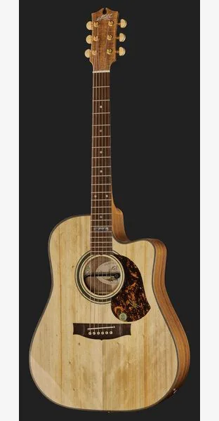 Maton EA80C detail 2
