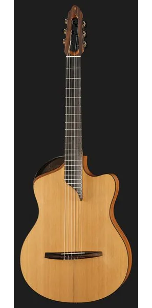 NOVA Guitars Innovator w/PU detail 2