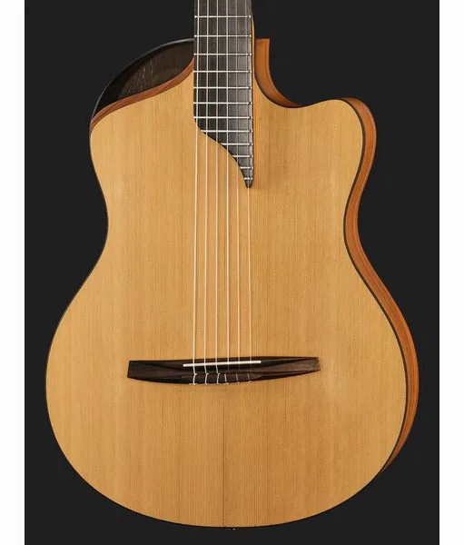 NOVA Guitars Innovator w/PU detail 4