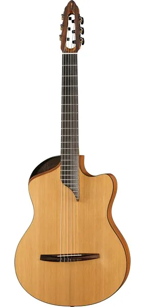 NOVA Guitars Innovator w/PU vooraanzicht