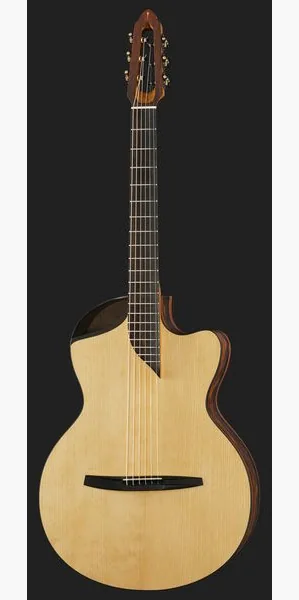 NOVA Guitars Revelator w/PU detail 2