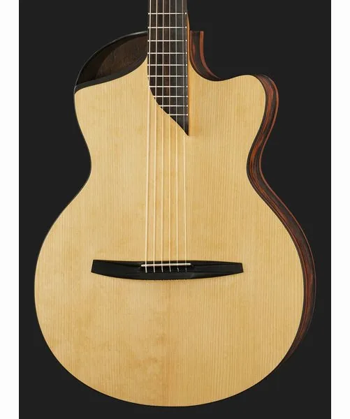 NOVA Guitars Revelator w/PU detail 4