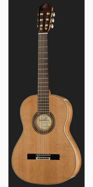 Ortega R20GRG detail 2