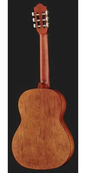 Ortega R55DLX-BFT detail 3