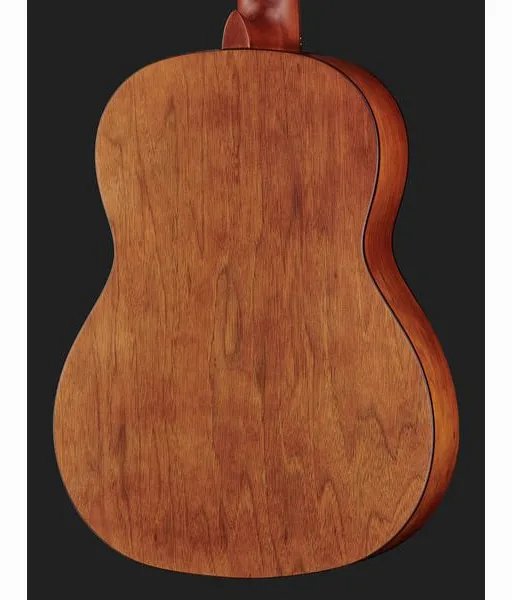 Ortega R55DLX-BFT detail 5