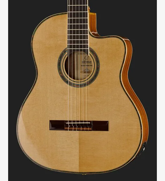 Ortega RCE141NT detail 4