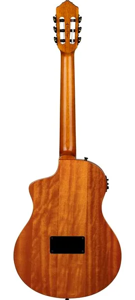 Ortega RTP-LTD2 detail 2