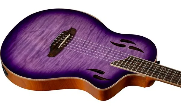 Ortega RTP-LTD2 detail 3