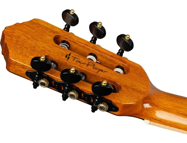 Ortega RTP-LTD2 detail 4