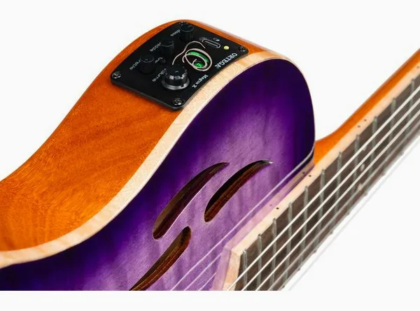 Ortega RTP-LTD2 detail 5