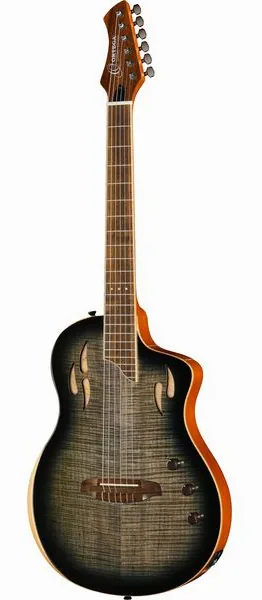 Ortega RTPG-LS1 vooraanzicht