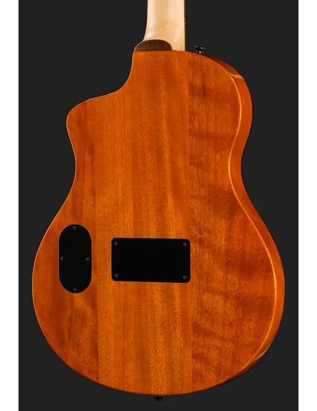 Ortega RTPG-LS2 detail 5