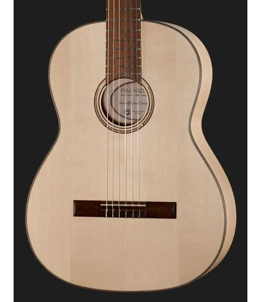 Gewa Pro Natura Silver 4/4 Maple detail 4