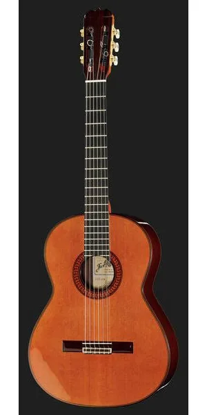 Ramirez Tradicional 1A w. case detail 2