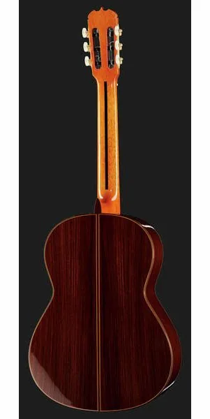 Ramirez Tradicional 1A w. case detail 3