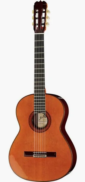 Ramirez Tradicional 1A w. case vooraanzicht