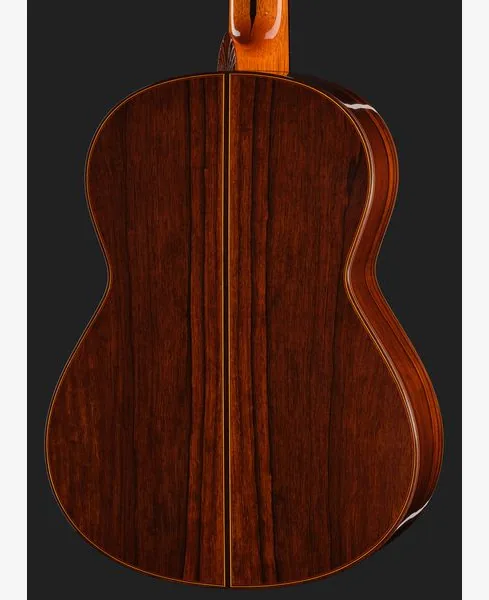 Ramirez Centenario detail 5